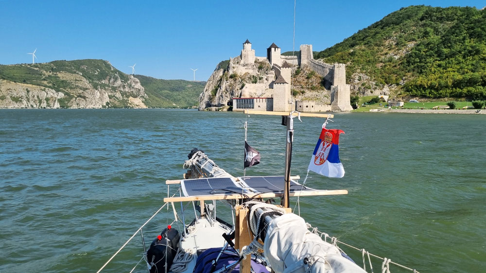 radiopelicano_serbien_golubac