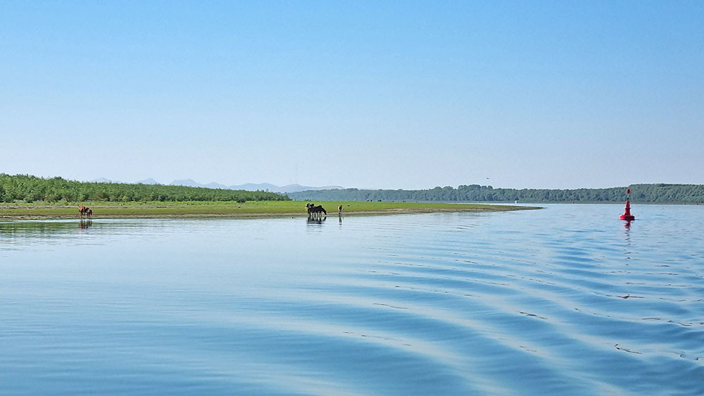radiopelicano_donau_rumaenien_bruecke_friedlich