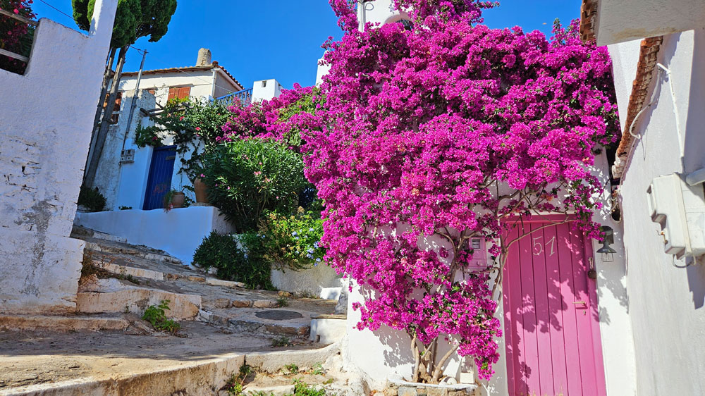 radiopelicano_on_the_sea_again_blumen